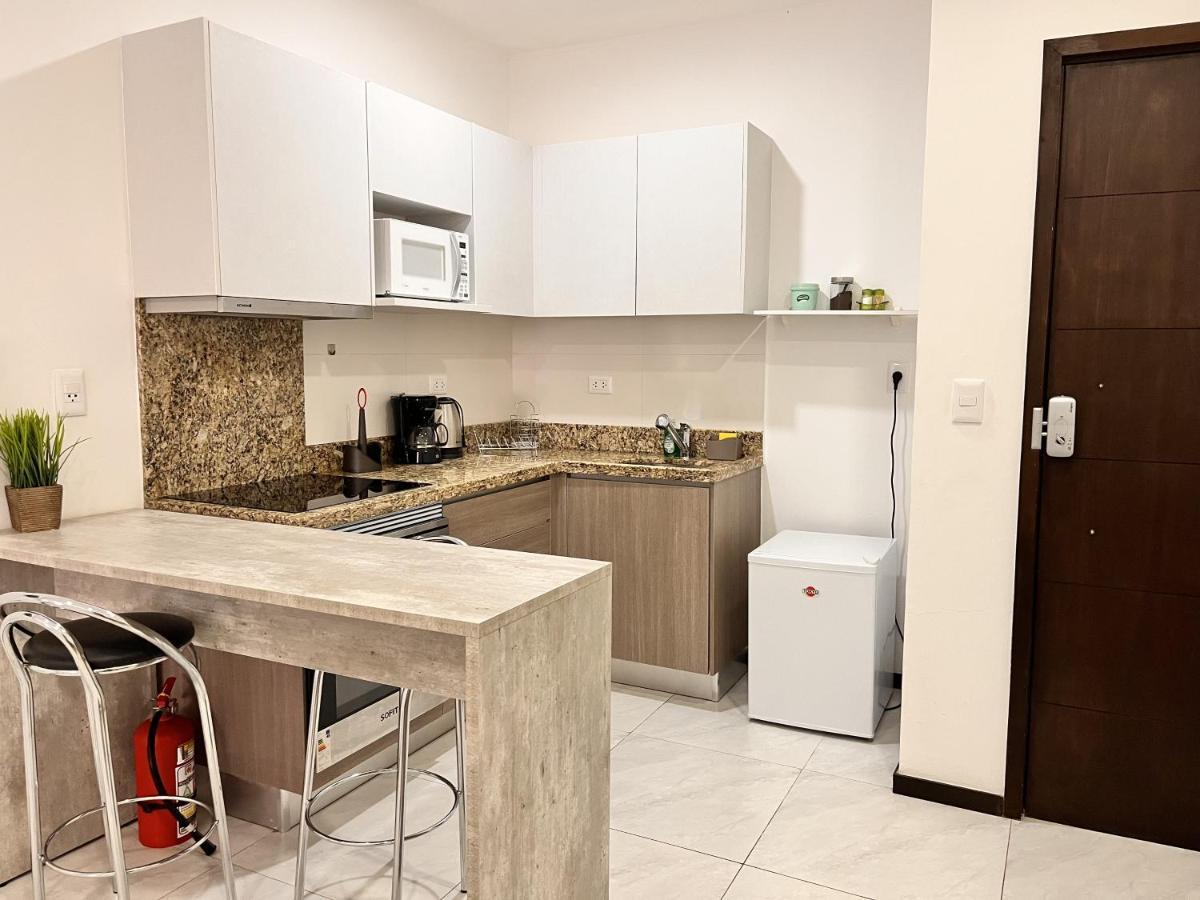 Departamento 1 Habitacion Zona Exclusiva Асунсьон Экстерьер фото